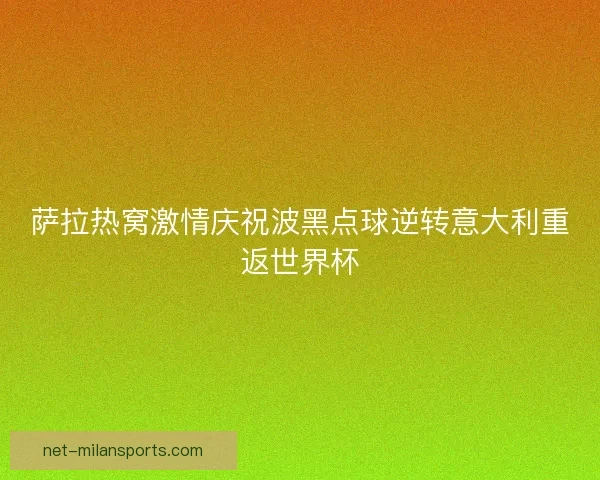 萨拉热窝激情庆祝波黑点球逆转意大利重返世界杯