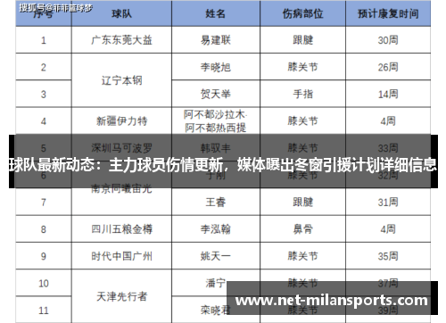 球队最新动态：主力球员伤情更新，媒体曝出冬窗引援计划详细信息